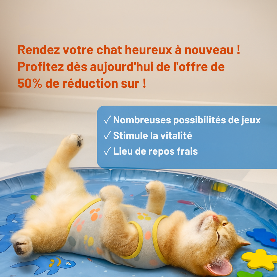 AquaPaws™ | Tapis de jeu - Divertissement rafraîchissant