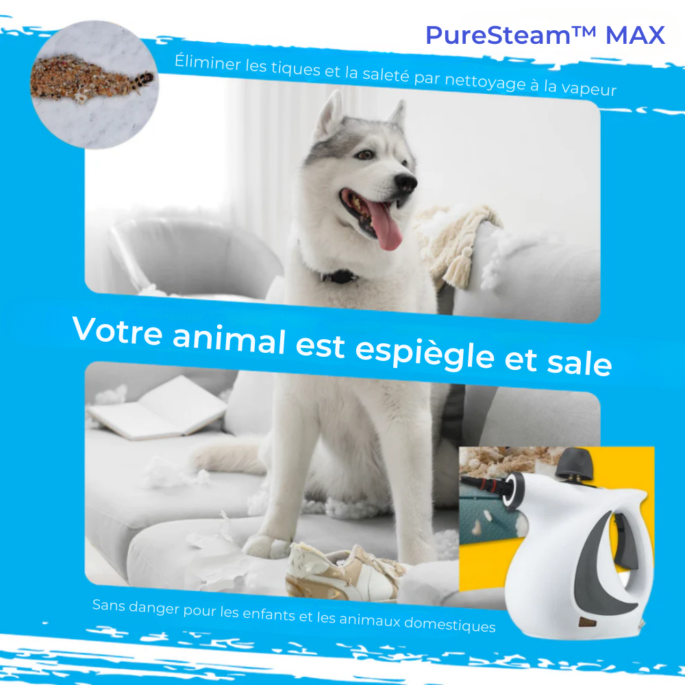 PureSteam™ MAX | Nettoyage en profondeur sans produits chimiques – prêt en quelques secondes