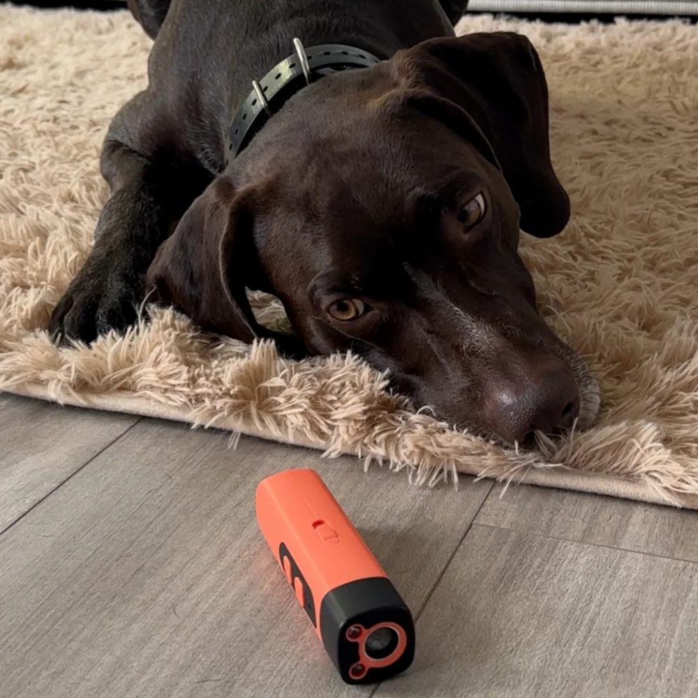 StopAboie™ | Dites adieu aux aboiements excessifs – sans stress, sans douleur