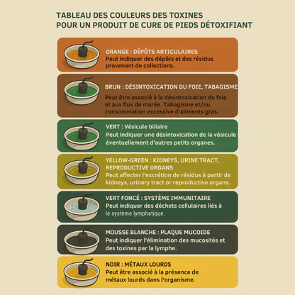 MrDetox™ | Détoxifiez le corps – commencez par les pieds