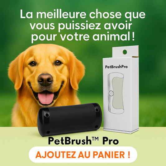 PetBrush™ Pro | Brosse Professionnelle pour Chiens & Chats