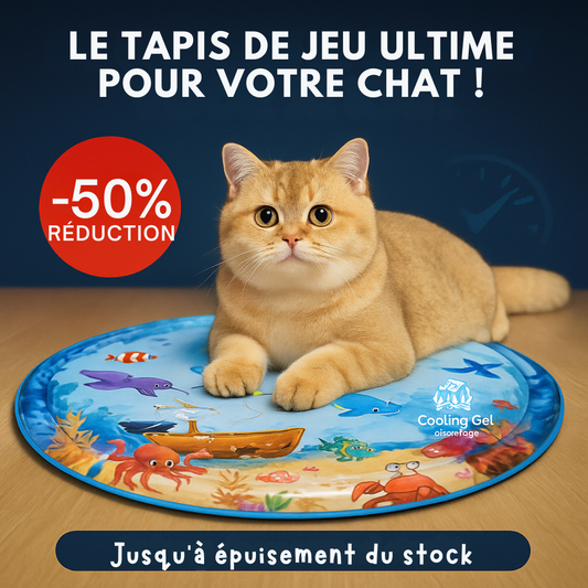 AquaPaws™ | Tapis de jeu - Divertissement rafraîchissant