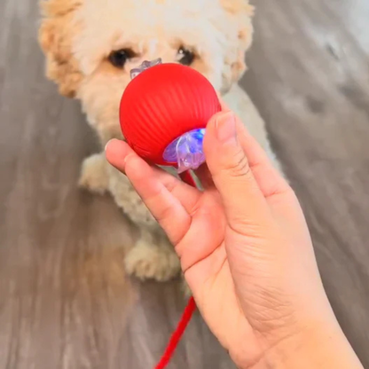 BalleMagique™ – La balle interactive qui occupe votre chien pendant des heures sans effort