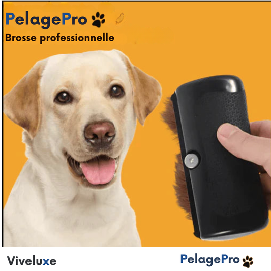 PelagePro™ | La brosse pour chien ultime contre la mue et les puces