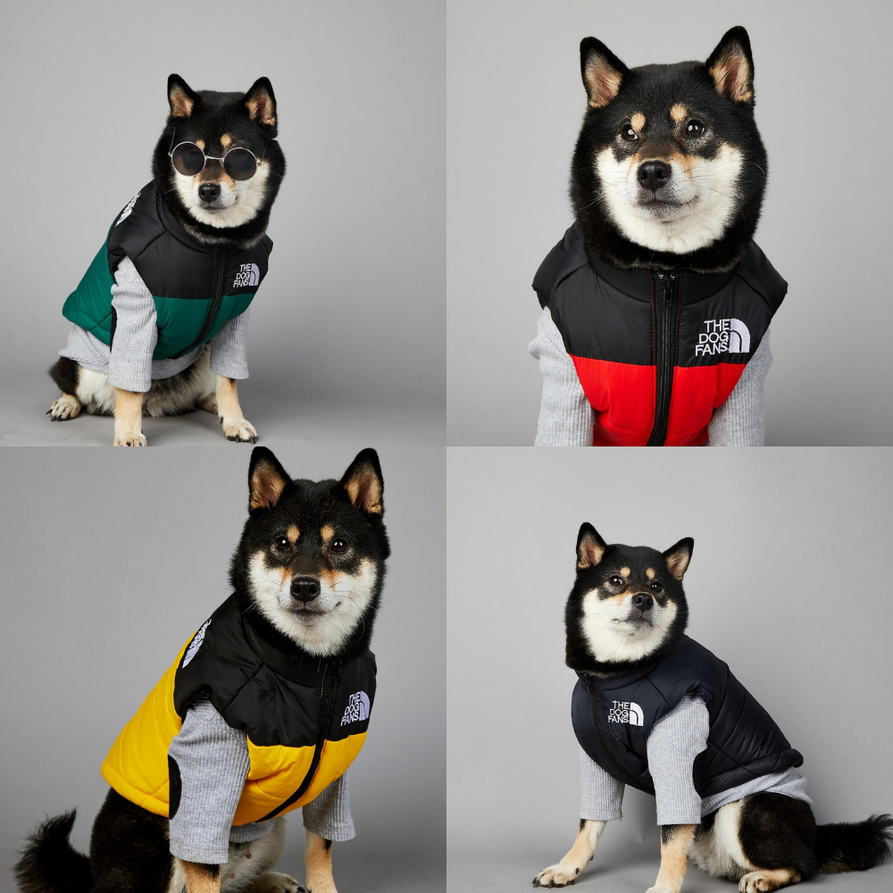 ThermoChien™ – La doudoune technique qui garde votre chien bien au chaud tout l’hiver