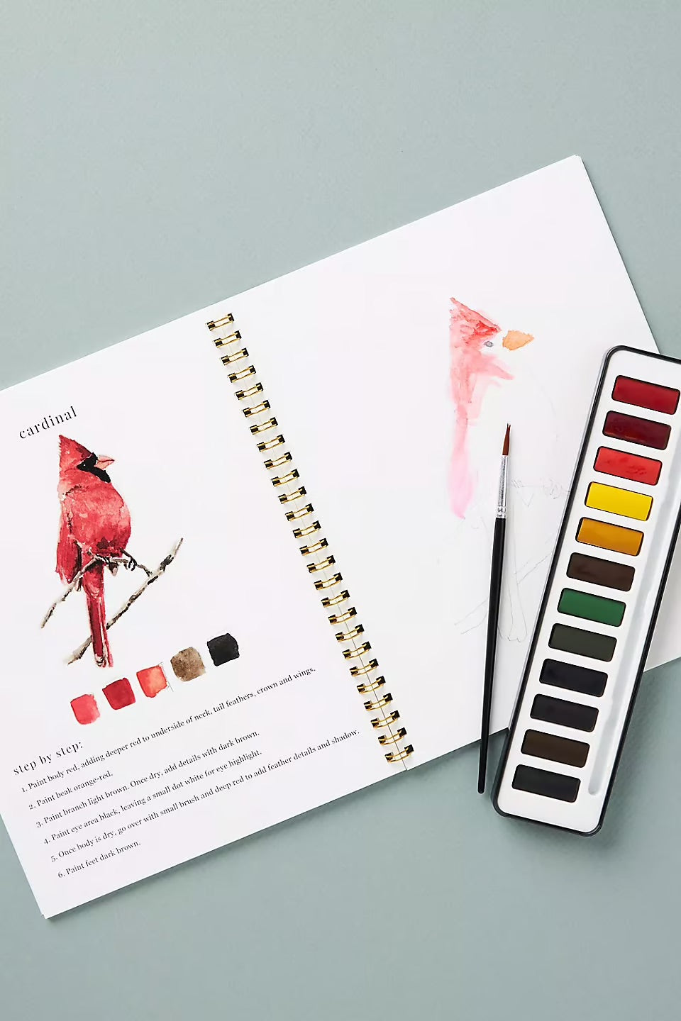 Aquarella™ | Libérez votre créativité avec notre amusant livre de coloriage aquarelle !