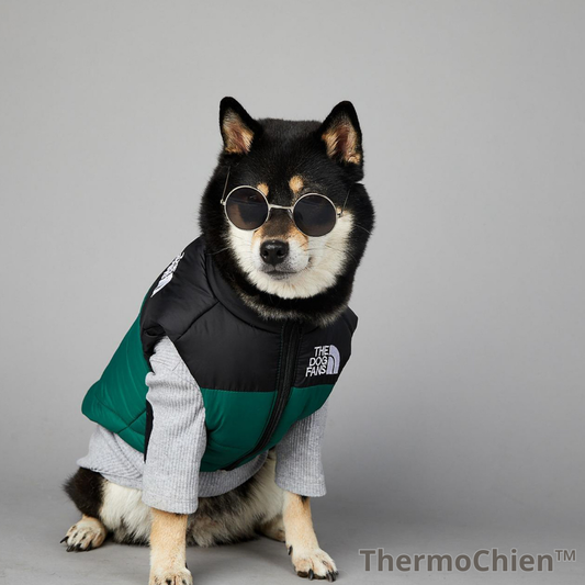 ThermoChien™ – La doudoune technique qui garde votre chien bien au chaud tout l’hiver