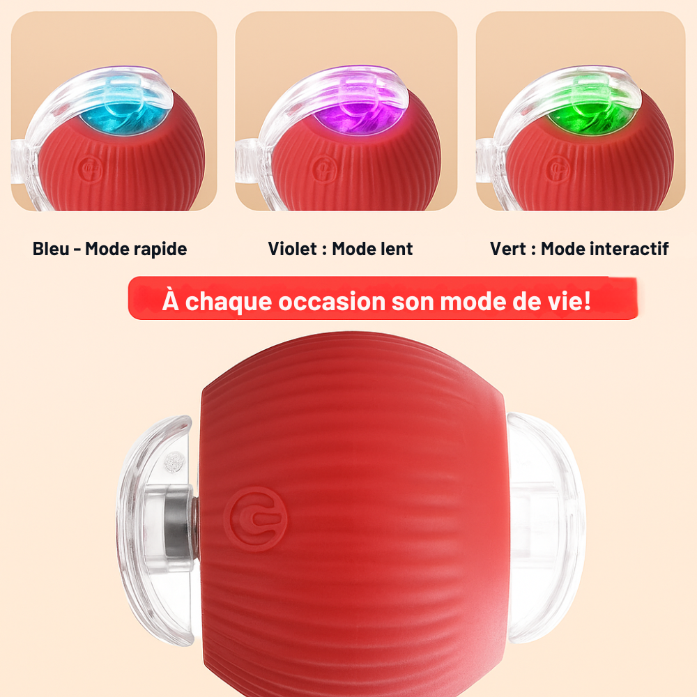 BalleMagique™ – La balle interactive qui occupe votre chien pendant des heures sans effort