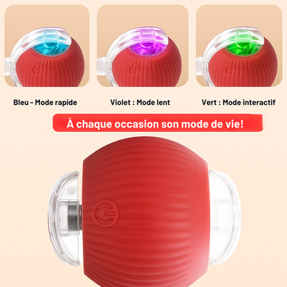 BalleMagique™ – La balle interactive qui occupe votre chien pendant des heures sans effort