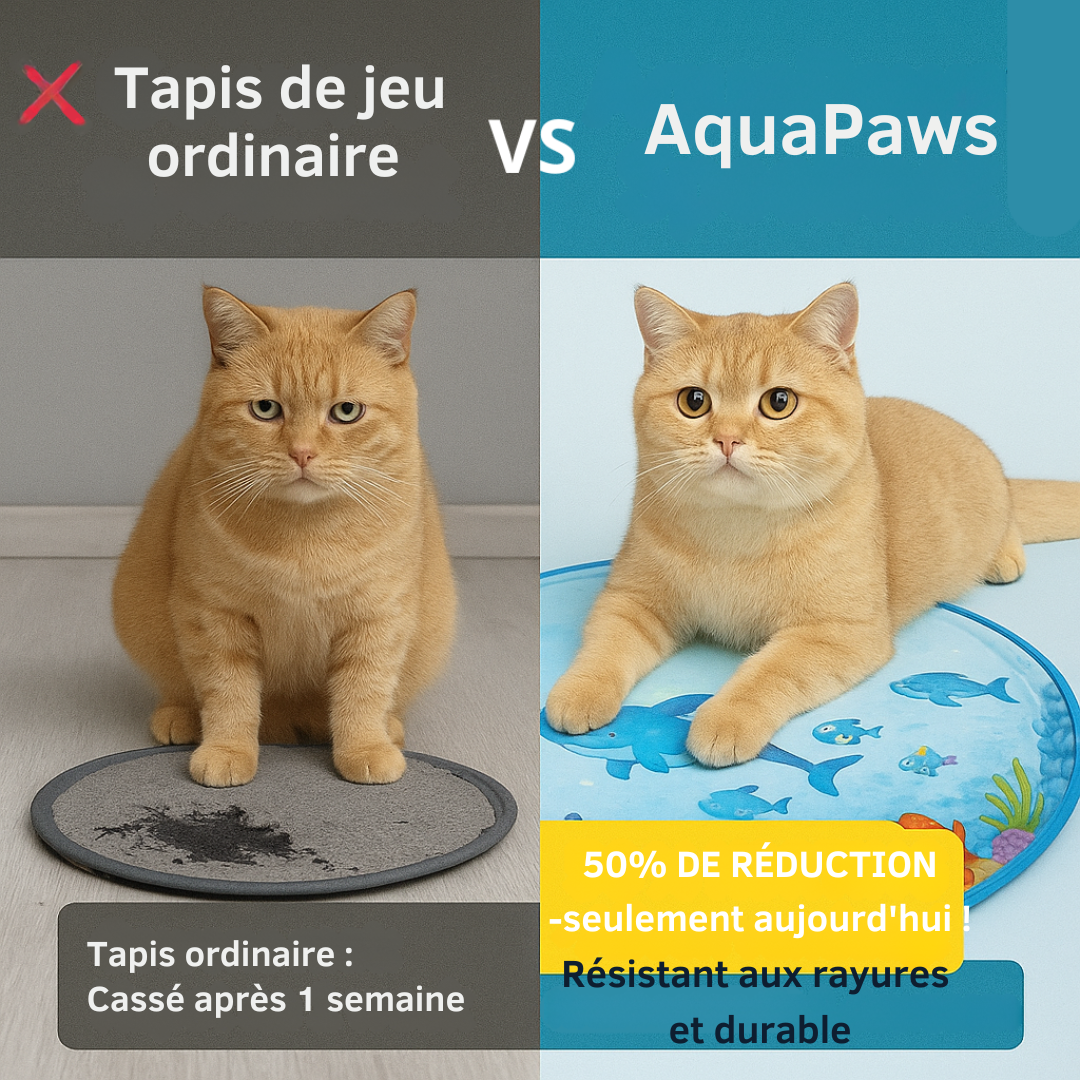 AquaPaws™ | Tapis de jeu - Divertissement rafraîchissant