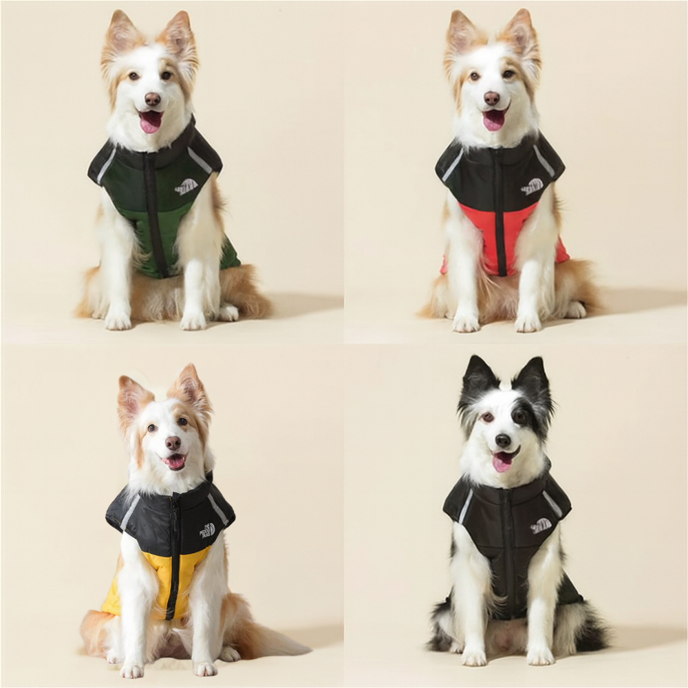 ThermoChien™ – La doudoune technique qui garde votre chien bien au chaud tout l’hiver