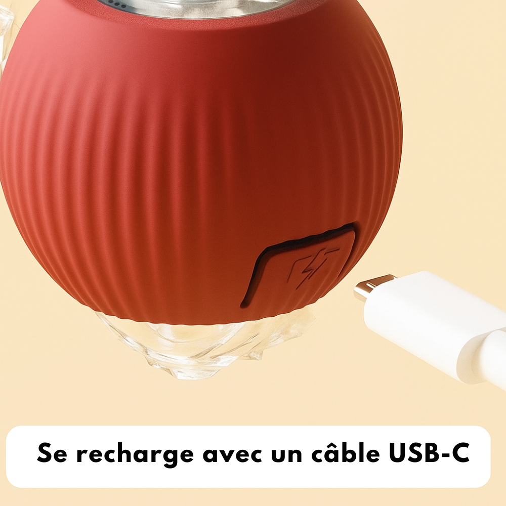 BalleMagique™ – La balle interactive qui occupe votre chien pendant des heures sans effort