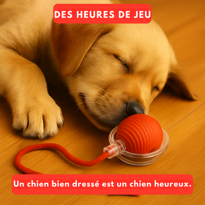 BalleMagique™ – La balle interactive qui occupe votre chien pendant des heures sans effort