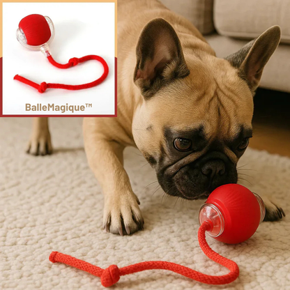 BalleMagique™ – La balle interactive qui occupe votre chien pendant des heures sans effort