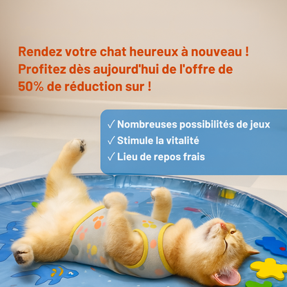 AquaPaws™ | Tapis de jeu - Divertissement rafraîchissant