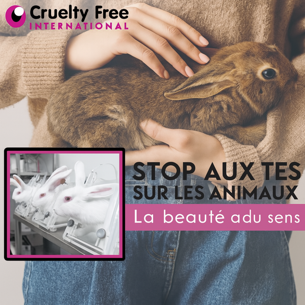 BeeYoung™ V3 Pro | Lissez les rides, rehaussez votre apparence – sans traitements coûteux !