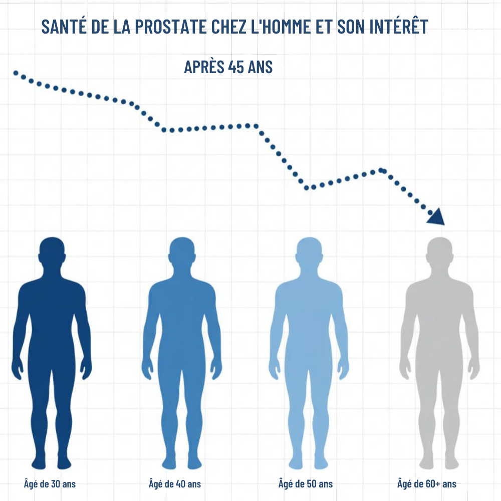 FluxVital™ | Soutien d'un bon flux urinaire et moins de visites nocturnes aux toilettes