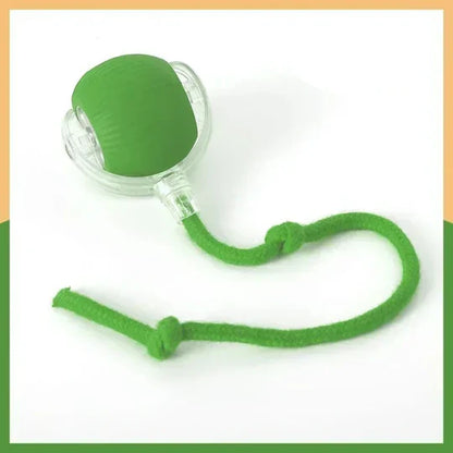 BalleMagique™ – La balle interactive qui occupe votre chien pendant des heures sans effort