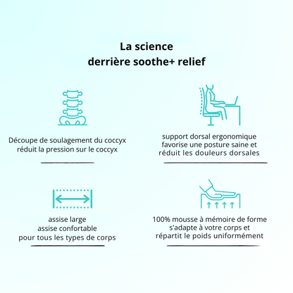 SiègeRoyale™ | Asseyez-vous mieux, levez-vous plus facilement – soutien ergonomique là où vous en avez le plus besoin