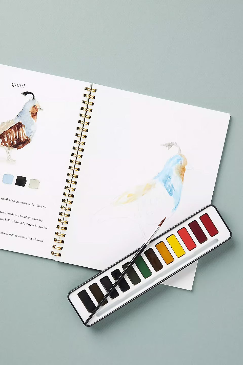 Aquarella™ | Libérez votre créativité avec notre amusant livre de coloriage aquarelle !